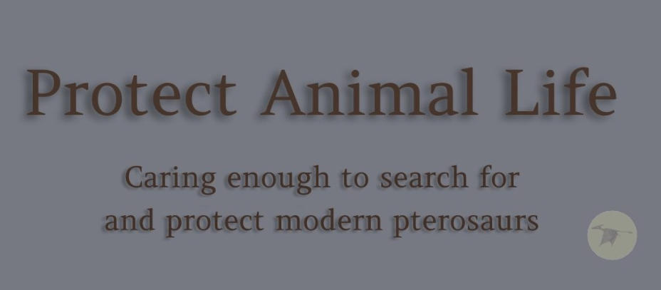 Protect Animal Life - banner - small flying ropen pterosaur sketch